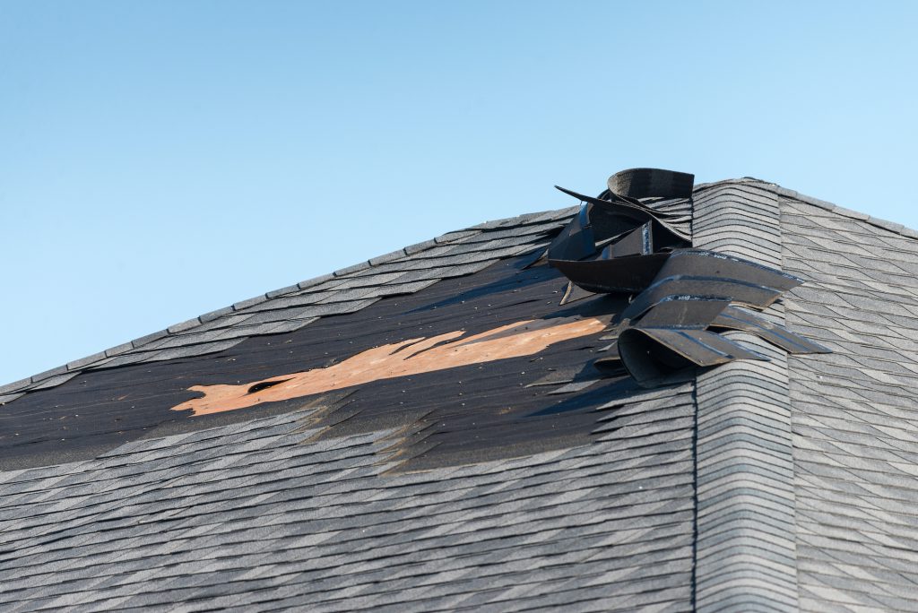 Windstorms article image